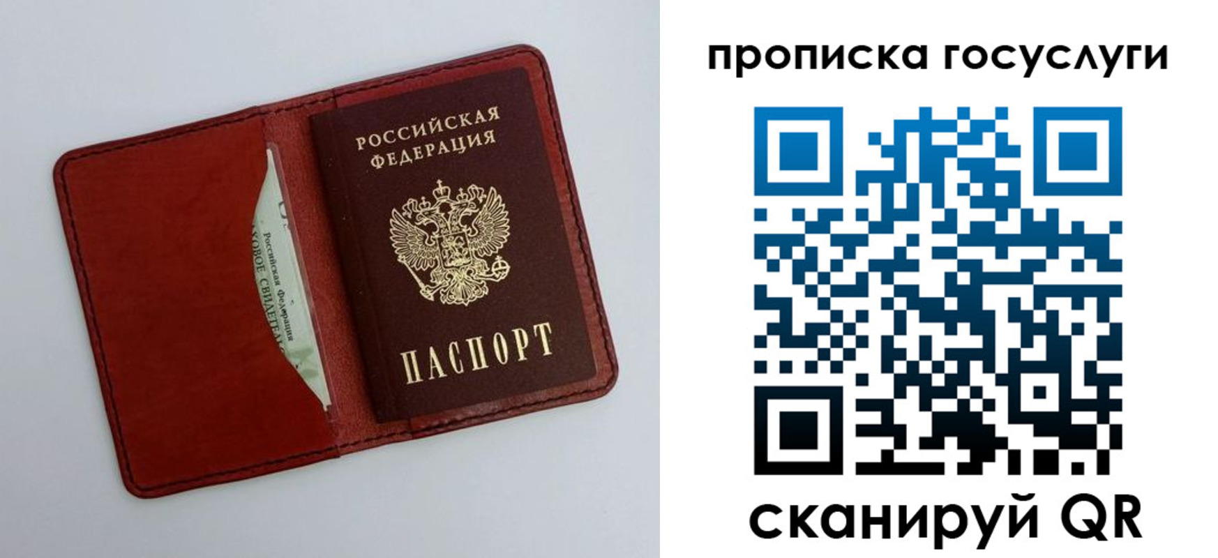 прописка паспорт в Вологде
